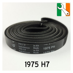 1975 H7 Tumble Dryer Belt (09-EL-04CG)